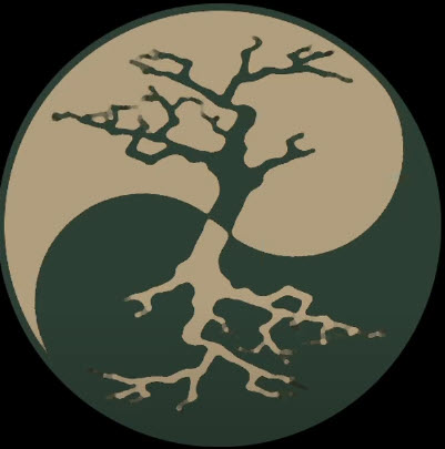 Apolakkia Mission 2 – Sortie 05- Not One Step&nbsp;More